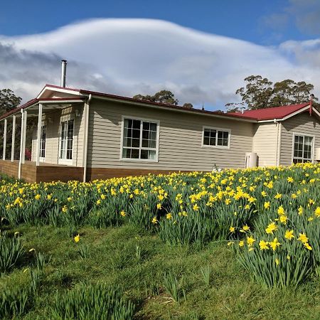 Mountain Blue Guest House Deloraine Exterior foto