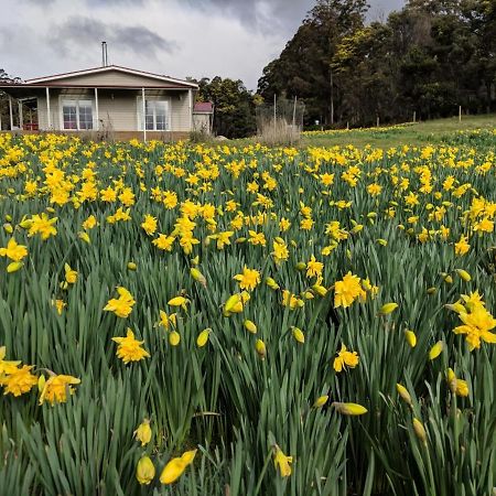 Mountain Blue Guest House Deloraine Exterior foto